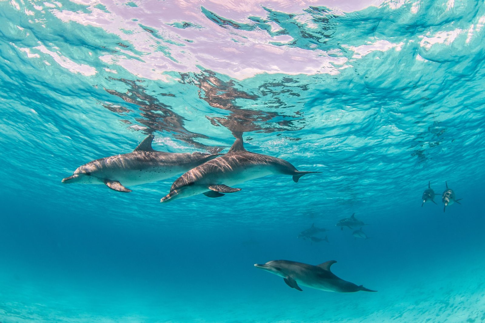 Popular yacht charter destinations