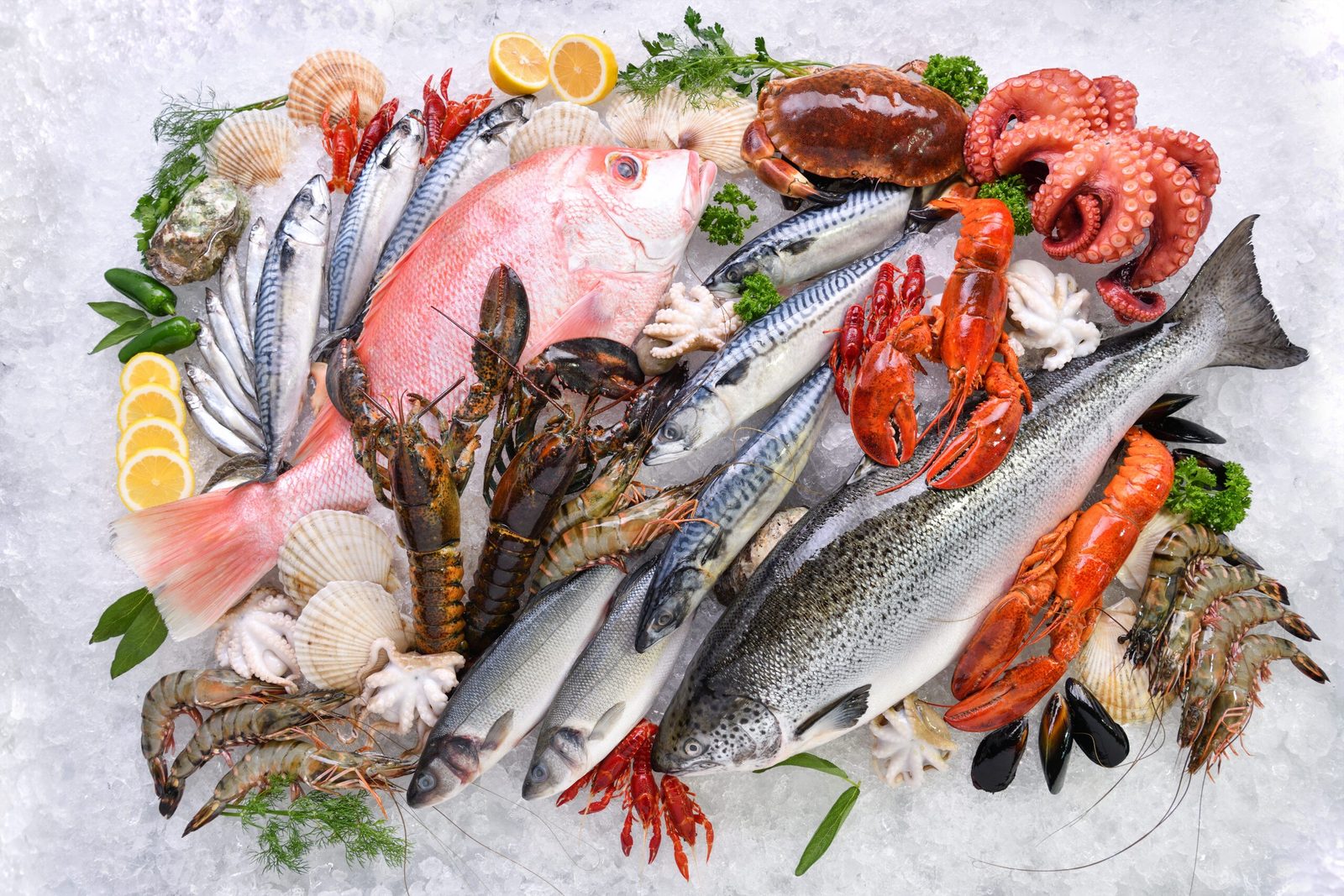 Fine dining on your luxury yacht