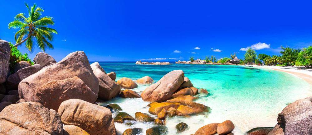 Granite rocks and a palm-fringed beach in the Seychelles